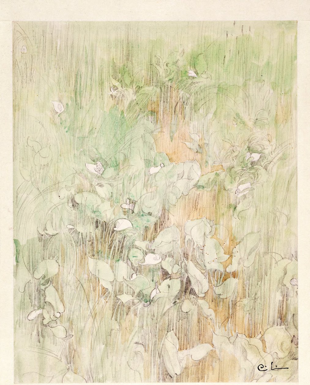 Kallor autorstwa Carl Larsson