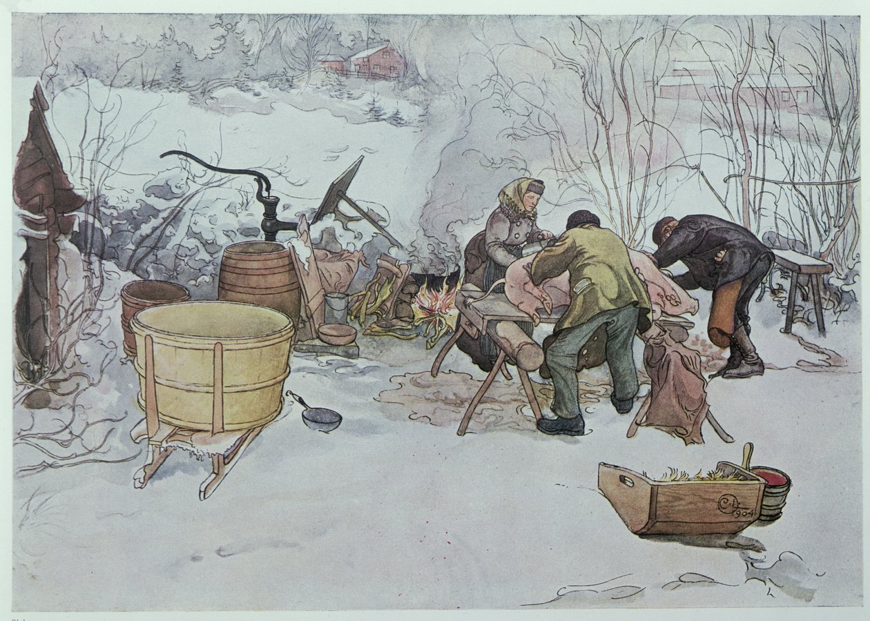 „Killing the Pig”, ilustracja do „My Little Farm”, opublikowana w Szwecji, 1904 autorstwa Carl Larsson