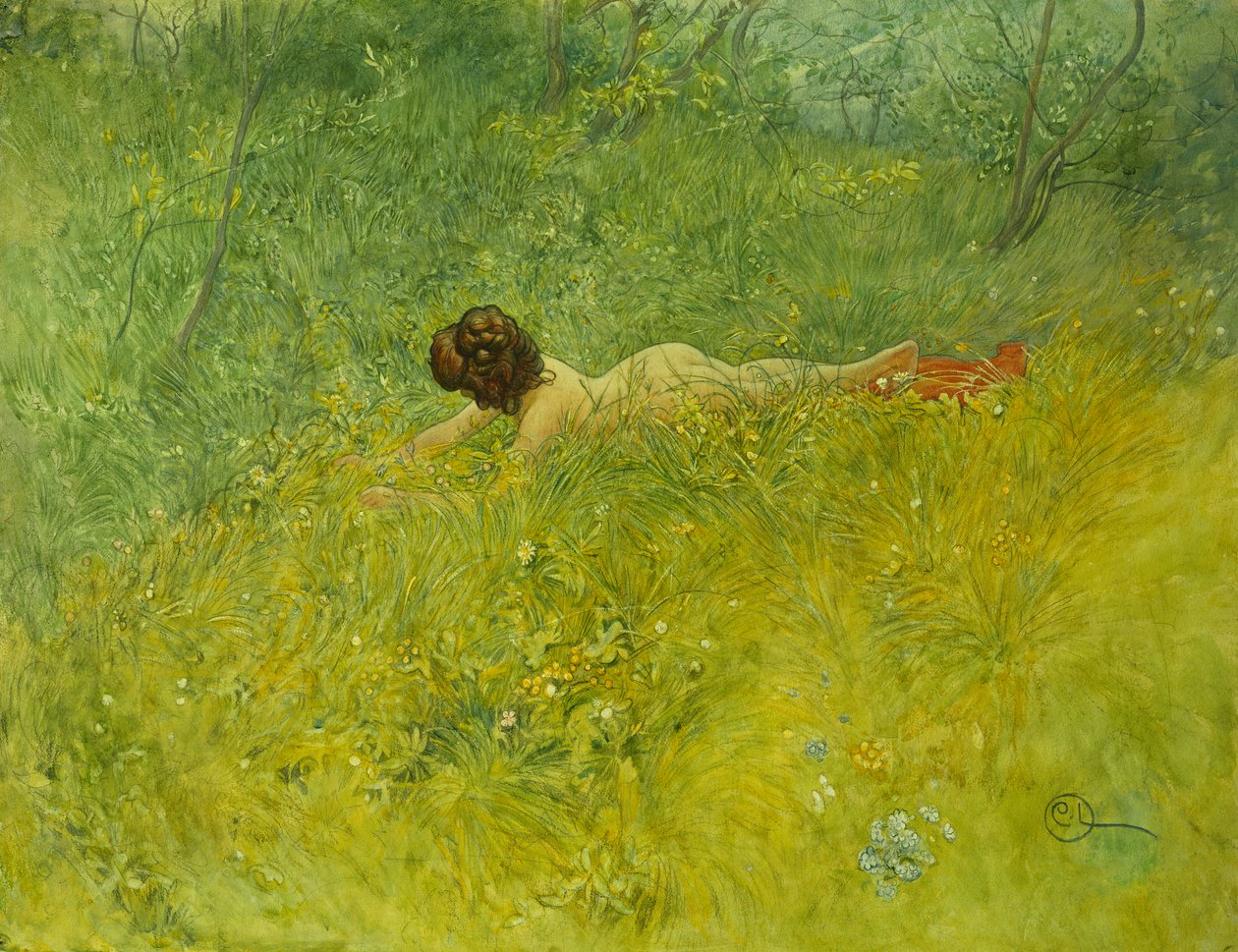 Na trawie; I Grongraset, 1902 autorstwa Carl Larsson