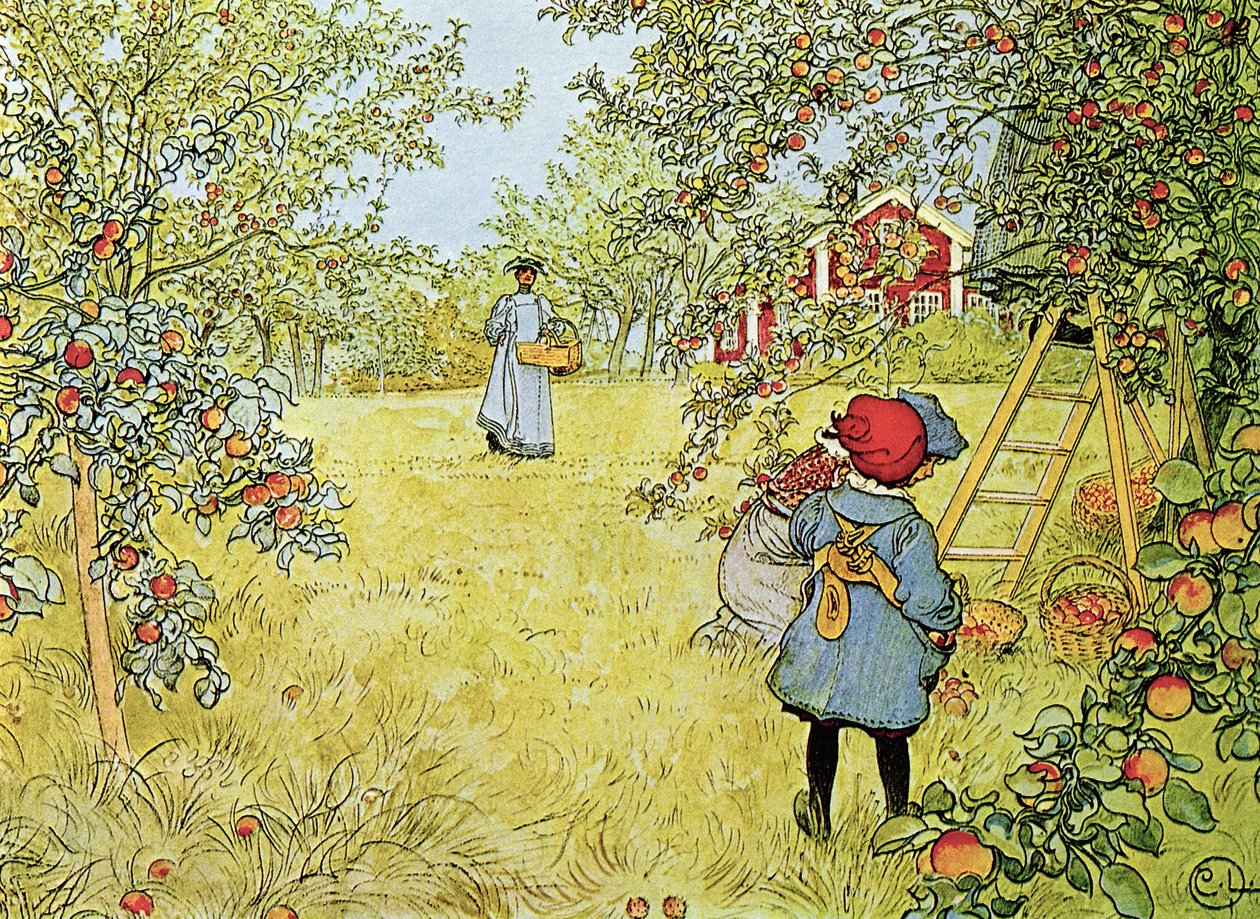 Zbiory jabłek autorstwa Carl Larsson