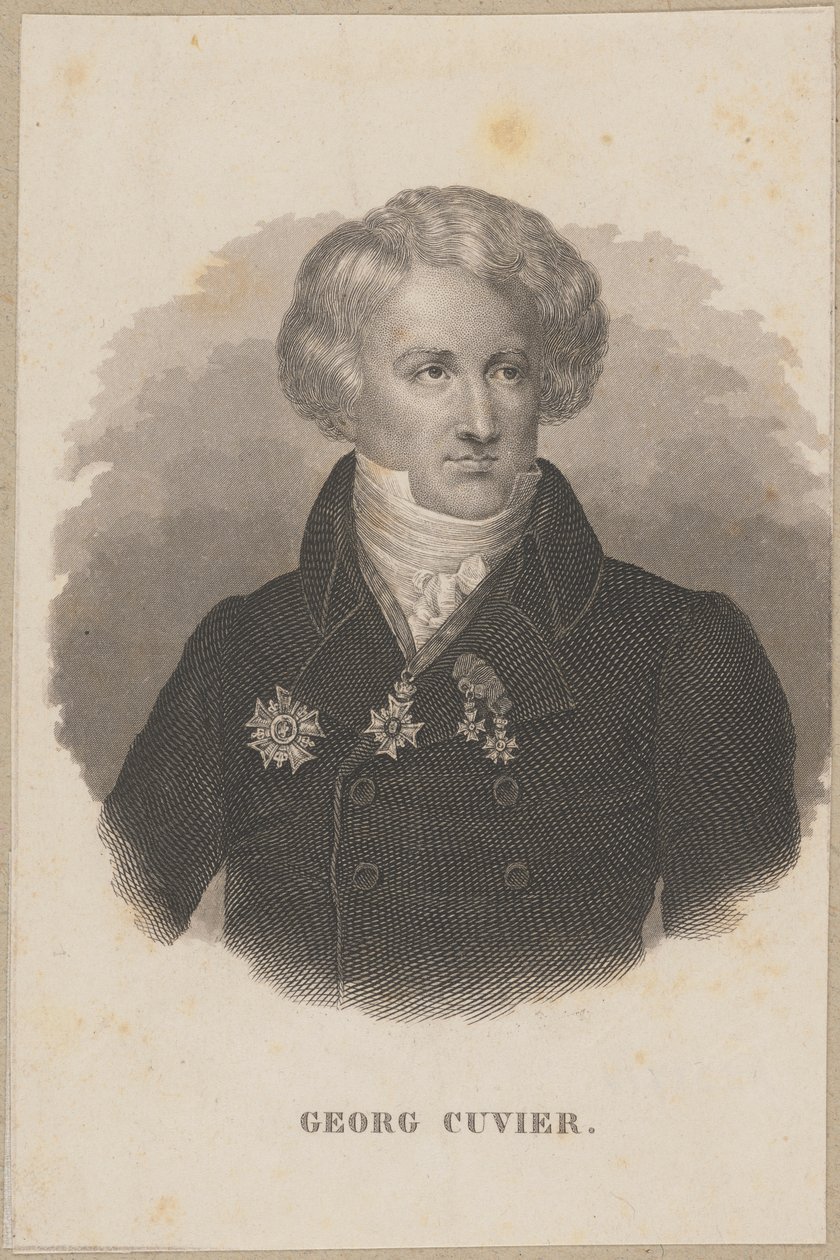 Georges Cuvier (1769 Montbéliard - 1832 Paryż) - francuski zoolog, twórca paleontologii autorstwa Carl Mayer