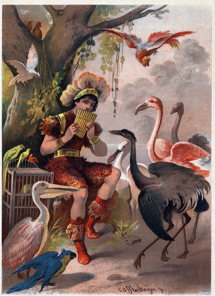 Papageno z fletem patelni sprowadza ptaki z lasu. Ilustracja Carla Offterdingera (1829-1889) w „”Zaczarowanym flecie”” (Die Zauberflote, flauto magico, Czarodziejski flet). Prywatna kolekcja. autorstwa Carl Offterdinger