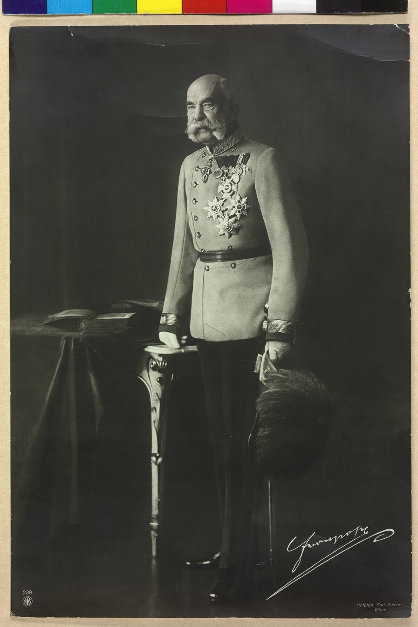 Franciszek Józef I autorstwa Carl Pietzner