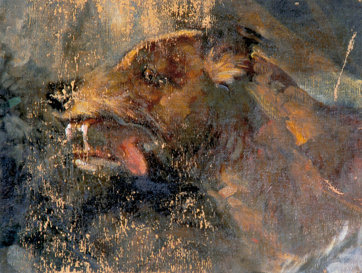 głowa psa autorstwa Carl Rudolf Huber