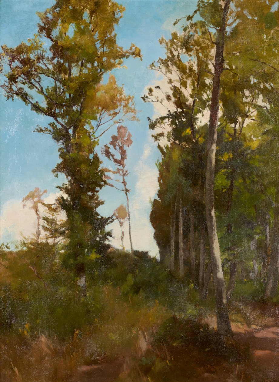 Polana leśna w pobliżu Purkersdorf autorstwa Carl Schuch
