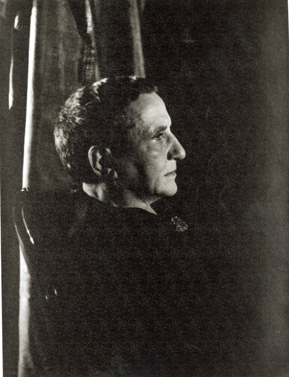 Gertruda Stein (1874-1946) 4 listopada 1934 (odbitka żelatynowo-srebrowa) autorstwa Carl Van Vechten