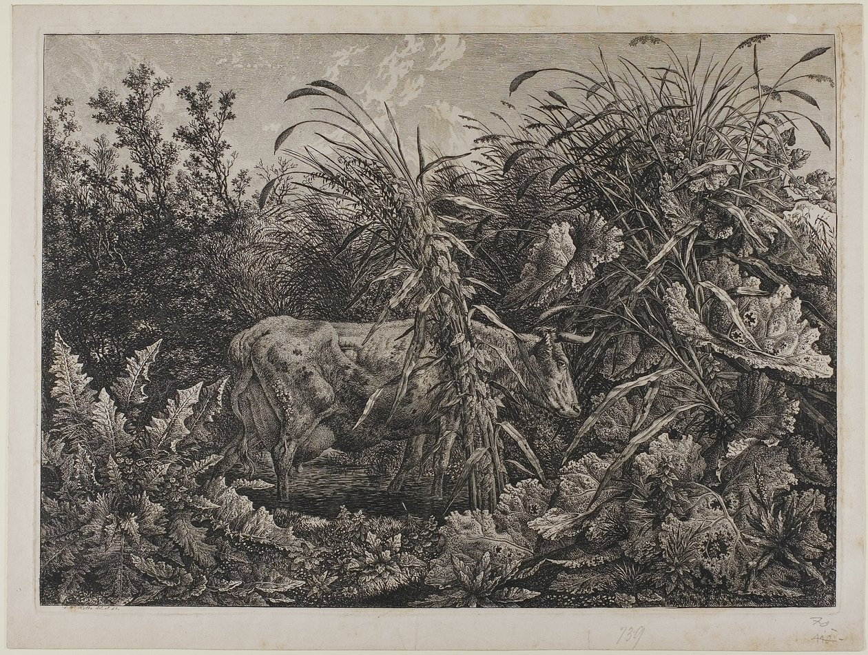 Krowa w strumieniu autorstwa Carl Wilhelm Kolbe the elder