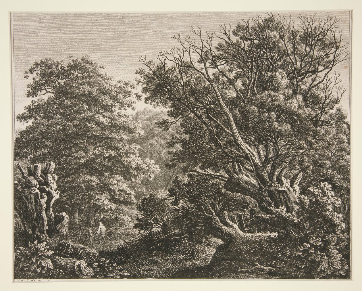 Krajobraz z sękatym drzewem autorstwa Carl Wilhelm Kolbe the elder