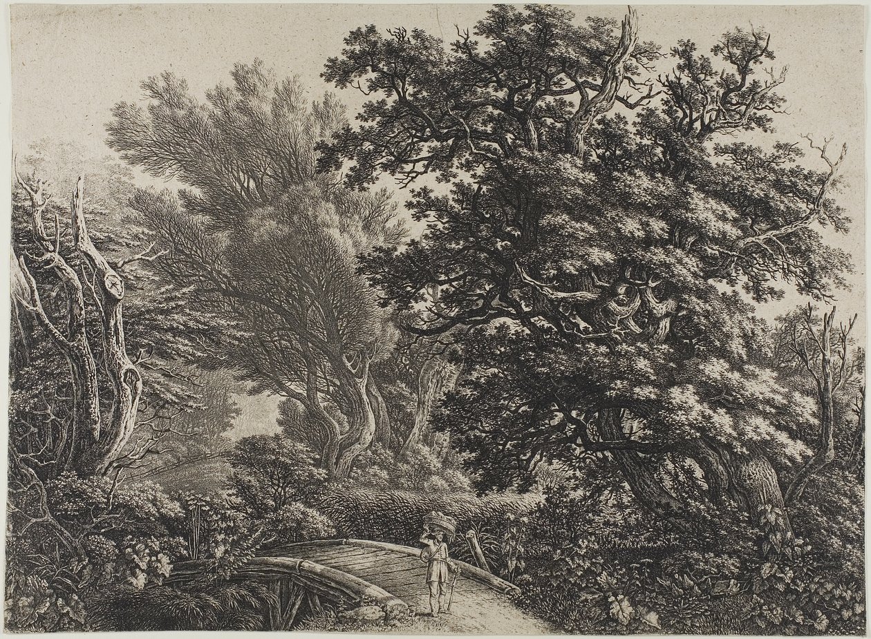 Rustykalny most w splątanym drewnie autorstwa Carl Wilhelm Kolbe, the elder
