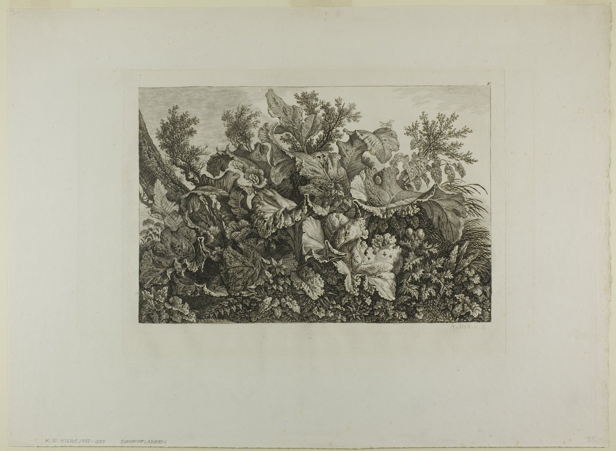 Rośliny bagienne autorstwa Carl Wilhelm Kolbe, the elder
