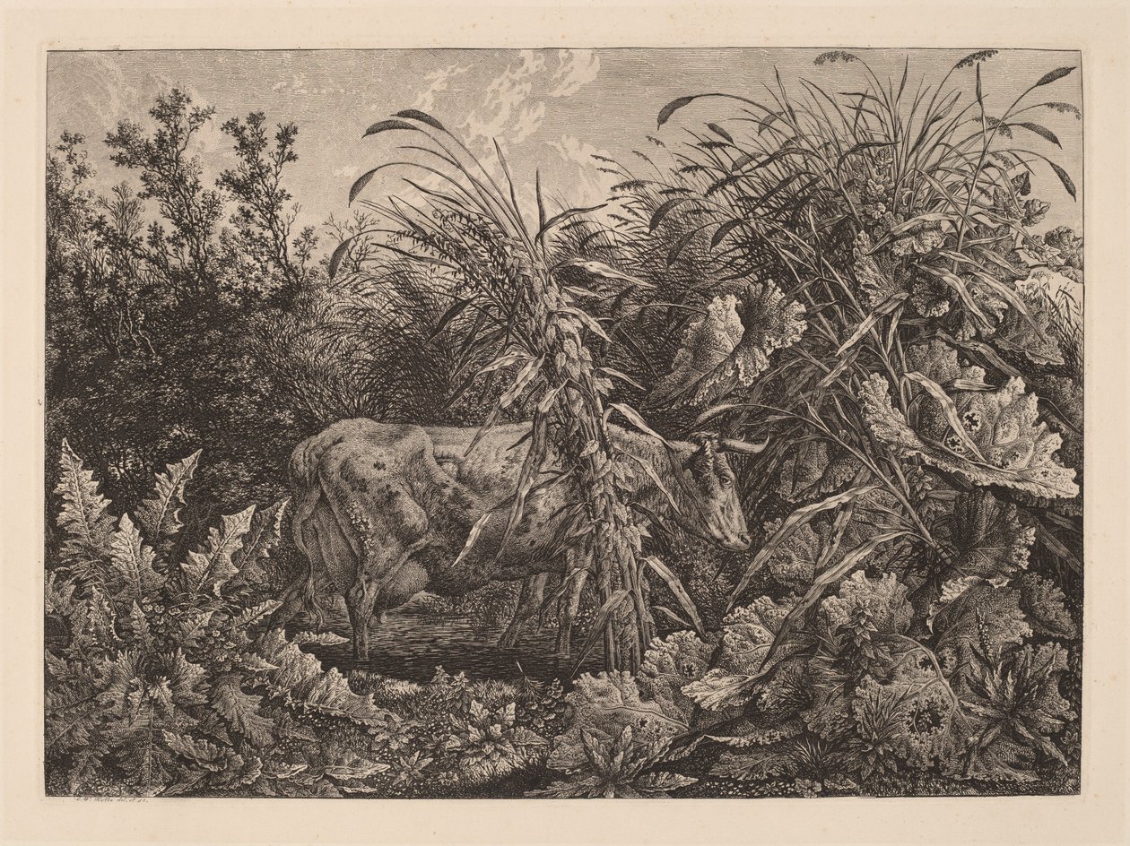 Krowa na bagnach autorstwa Carl Wilhelm Kolbe, the elder