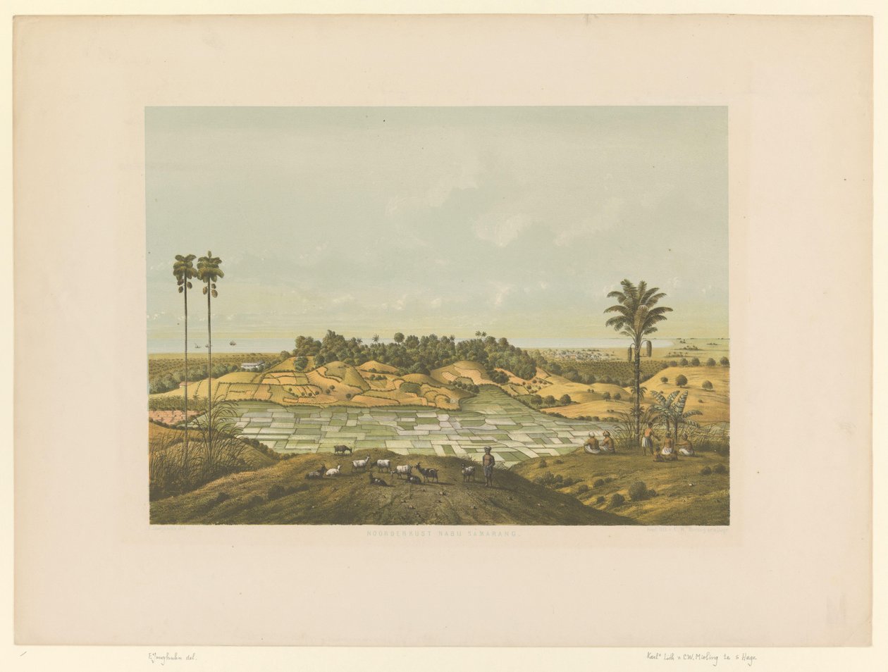 Widok na krajobraz w pobliżu Semarang Północne wybrzeże w Semarang (tytuł na obiekcie) autorstwa Carl Wilhelm Mieling (possibly)