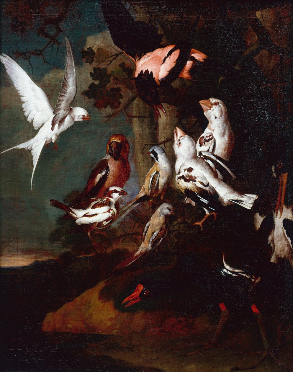 Kokoszka, jaskółka, zięby i inne ptaki w leśnym krajobrazie rzecznym (olej na płótnie) autorstwa Carl Wilhelm de Hamilton