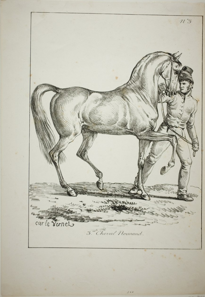 Gwardia królewska, Norman Cavalier, nie w pełnym stroju, i koń, nr 3 autorstwa Carle Vernet