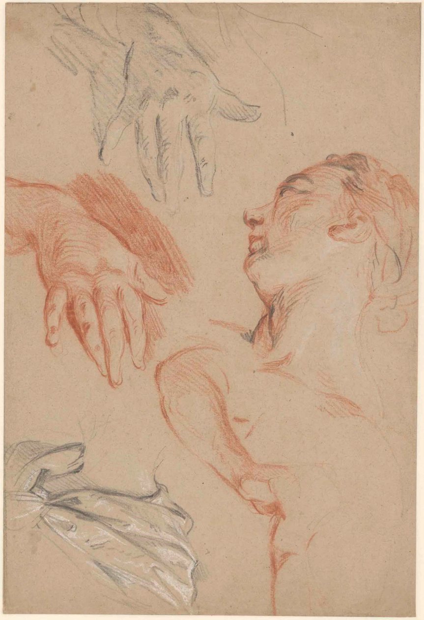 Arkusz studiów autorstwa Carle van Loo