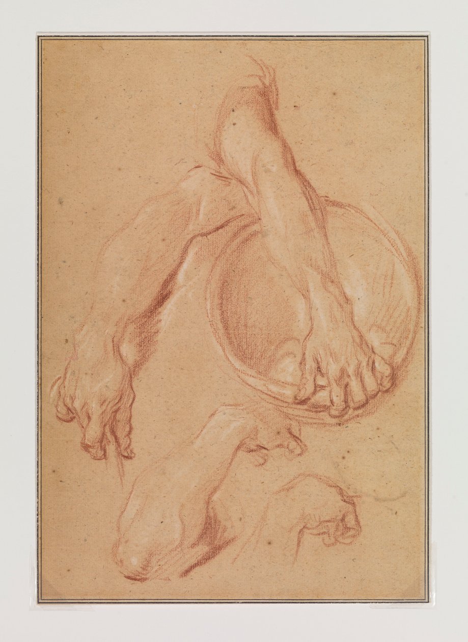 Studien eines Arms autorstwa Carle van Loo