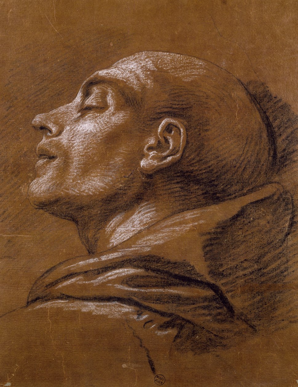 Studium, Carle van Loo (1705-1765), sangwiniczny rysunek autorstwa Carle van Loo