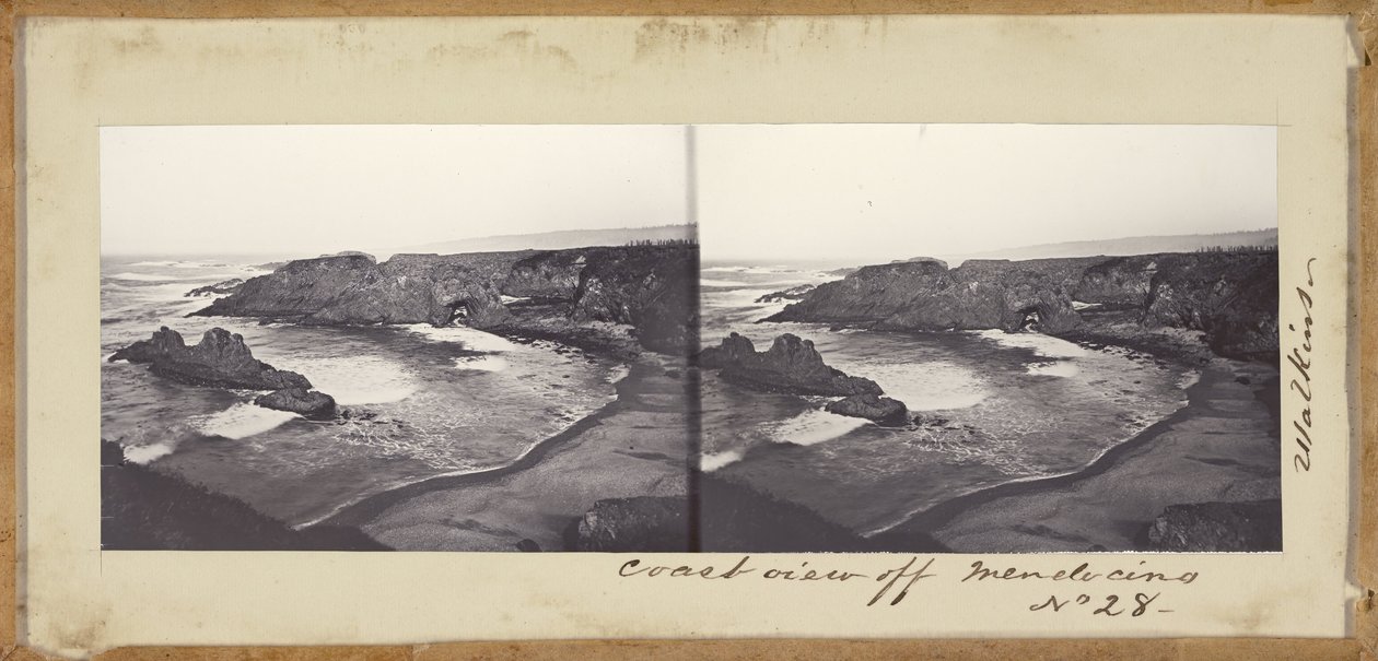 (Widok na wybrzeże przy Mendocino) autorstwa Carleton E. Watkins