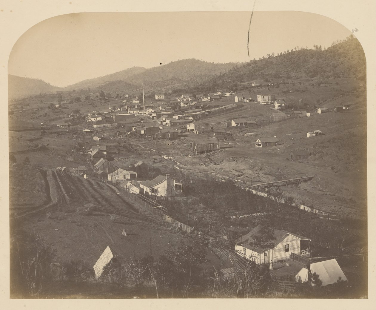 (Motyl autorstwa Carleton E. Watkins