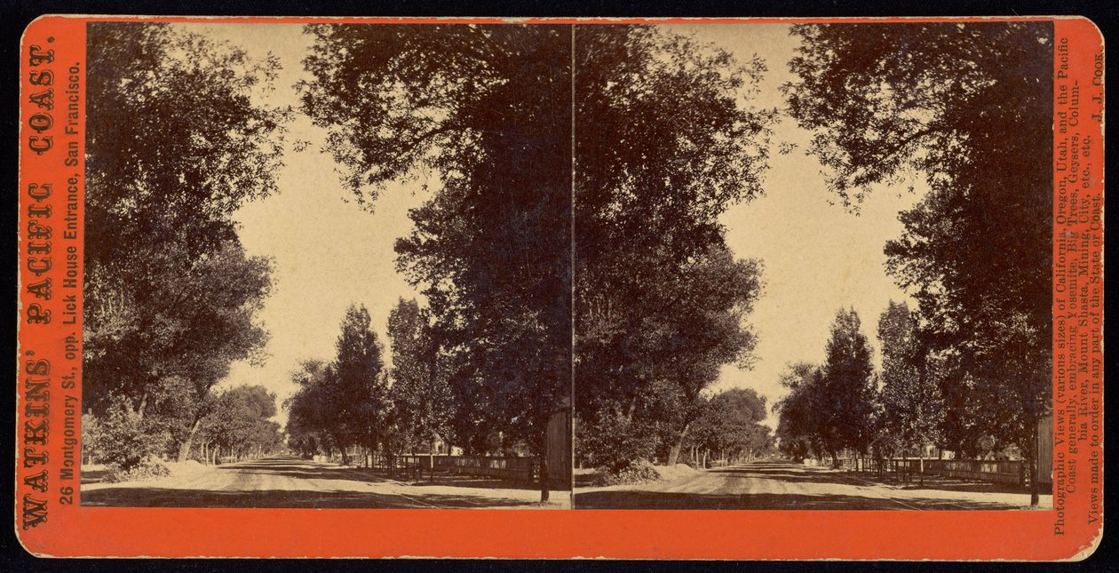(Wysadzany drzewami widok ulicy San Gabriel w Kalifornii) autorstwa Carleton E. Watkins