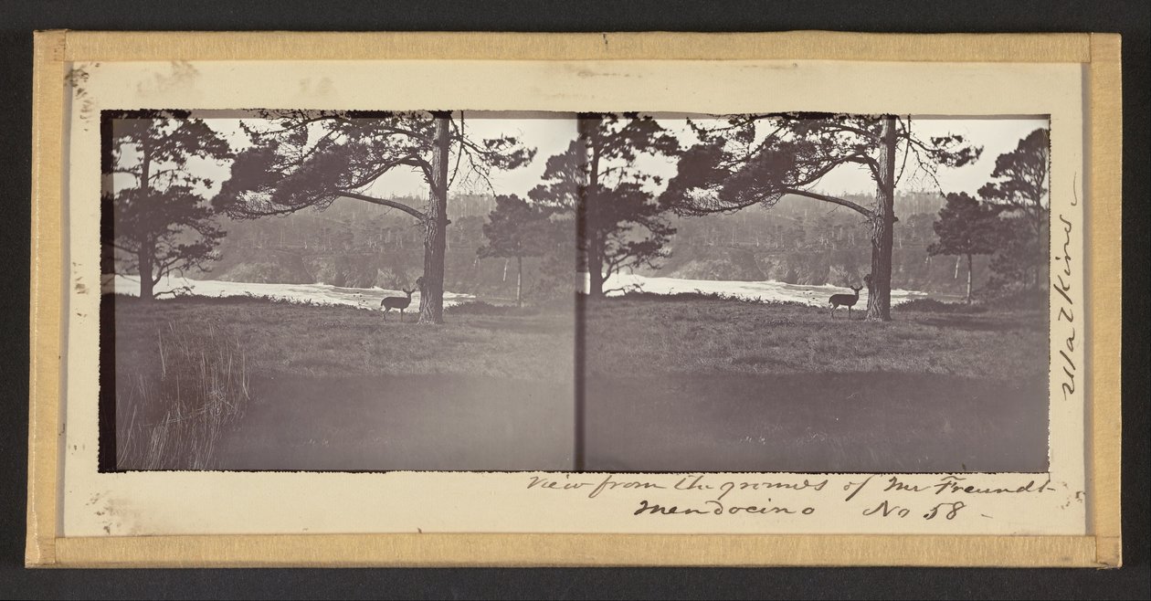 Widok z terenu pana Freundta, Mendocino autorstwa Carleton E. Watkins