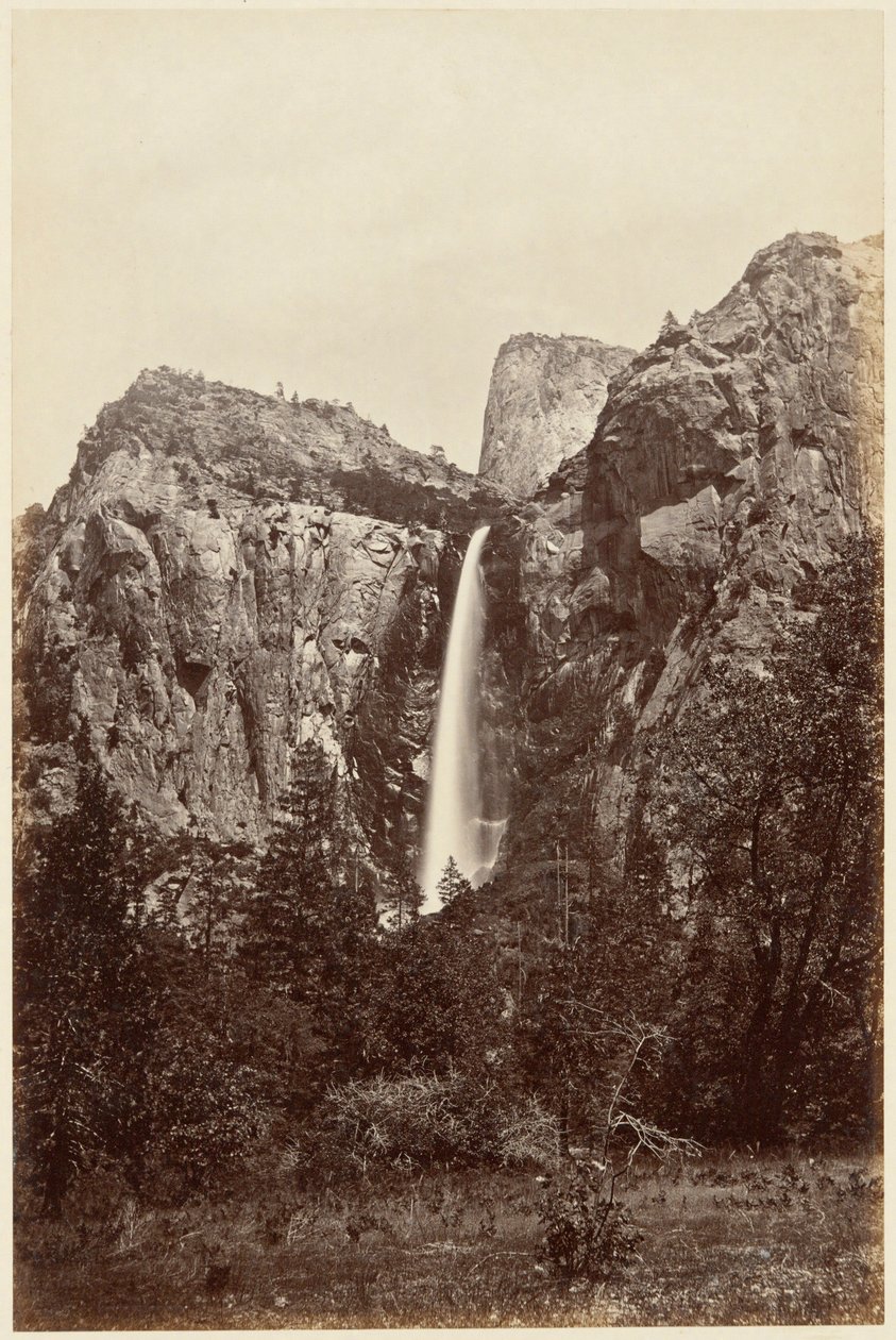 Spadek welonu ślubnego z albumu fotograficznego w Kalifornii autorstwa Carleton E. Watkins