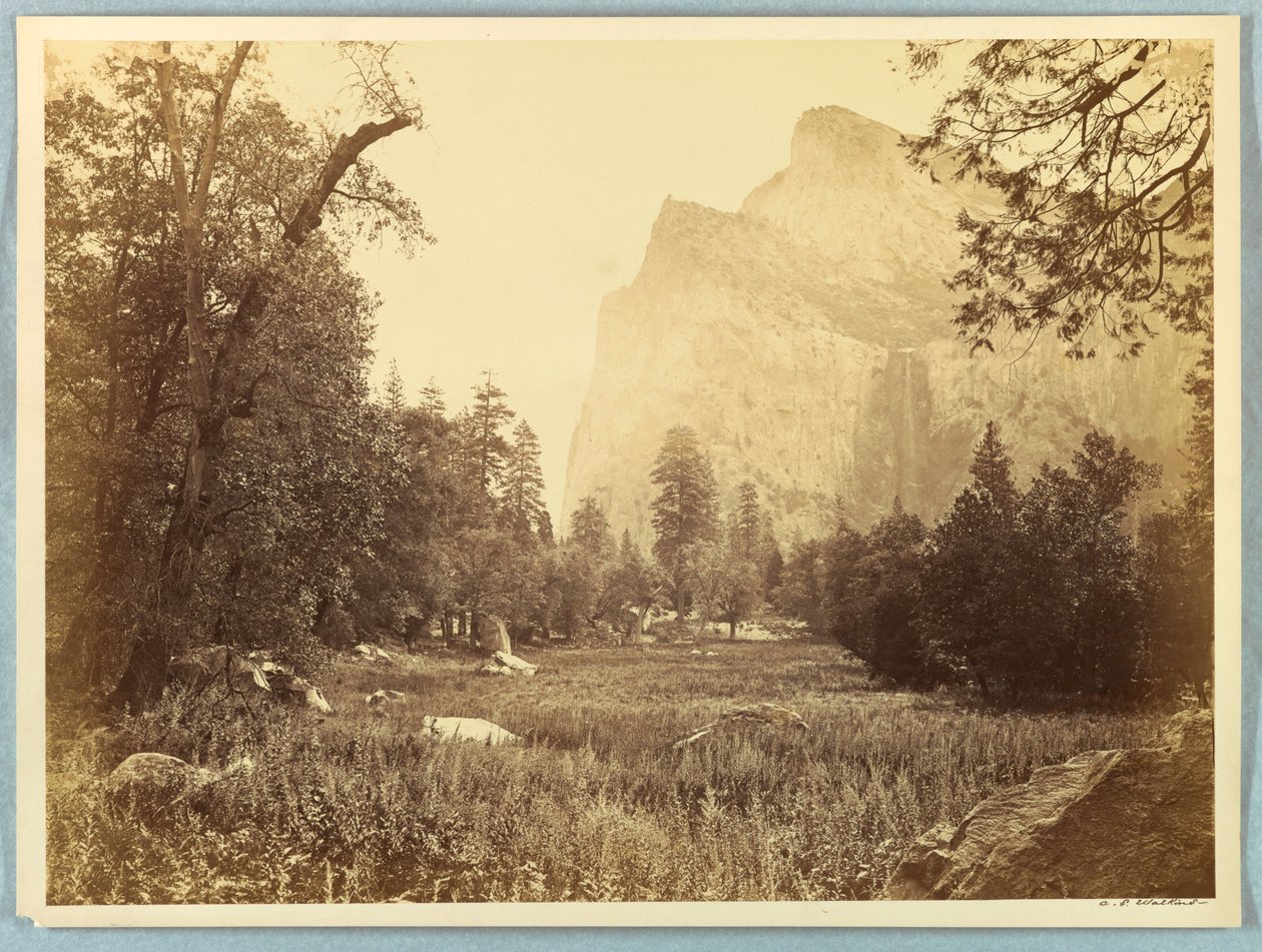 Napęd, Welon ślubny, Yosemite autorstwa Carleton E. Watkins