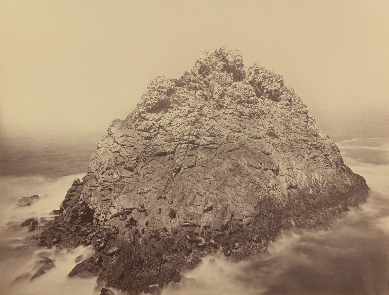 Wyspa Sugar Loaf, Farallons autorstwa Carleton E. Watkins