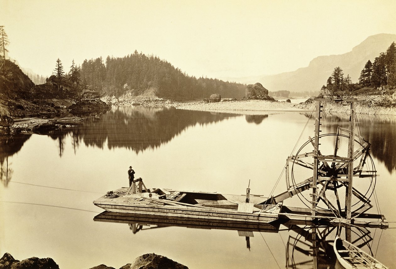 Pływające Koło Łososia, Kaskady, 1867 autorstwa Carleton E. Watkins