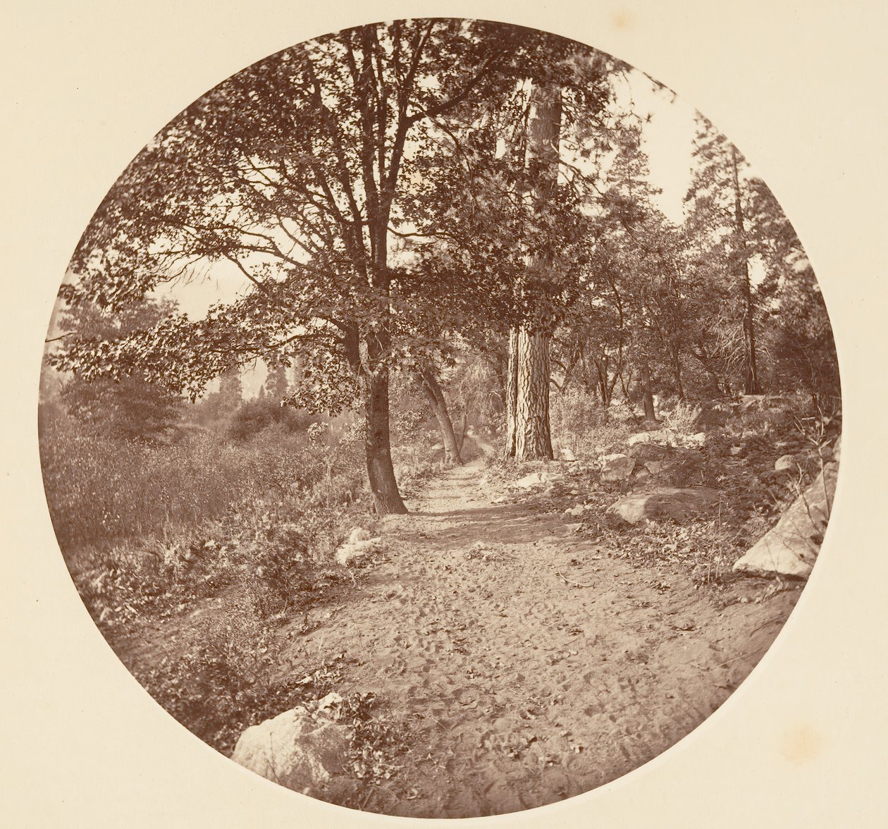 W Dolinie Yosemite, ca. 1878. autorstwa Carleton Emmons Watkins