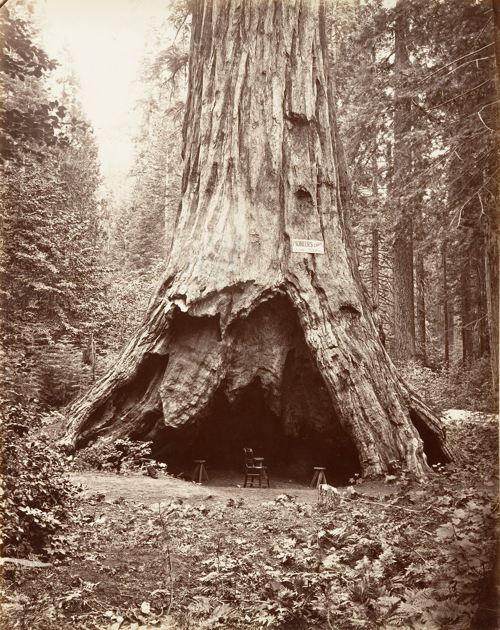 Kabina Pioniera, 1865-66, wydrukowany ca. 1876. autorstwa Carleton Emmons Watkins
