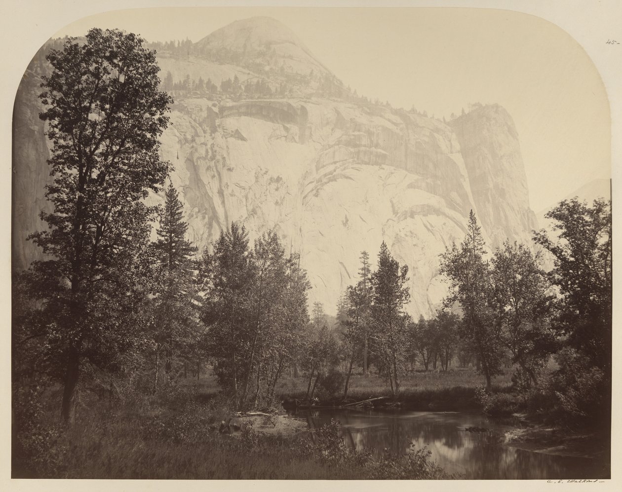 Widok na rzekę i łuki królewskie, Yosemite autorstwa Carleton E. Watkins