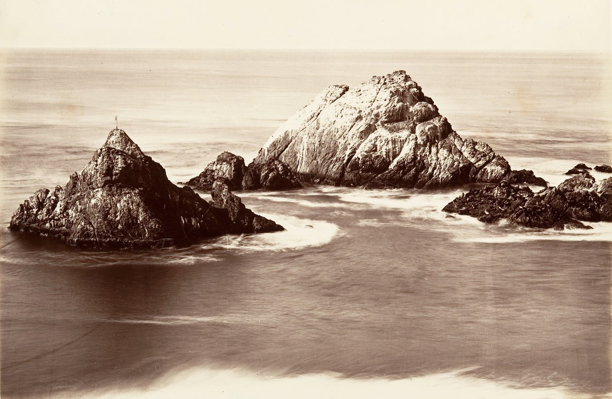 Seal Rocks, 1868-69, druk ok. 1876. autorstwa Carleton Emmons Watkins