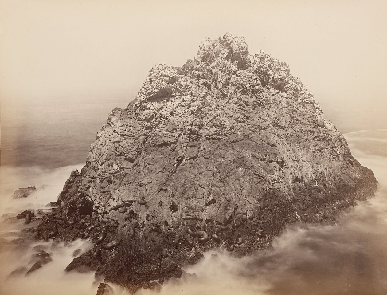 Wyspy Sugar Loaf, Farallons, 1868-69. autorstwa Carleton Emmons Watkins