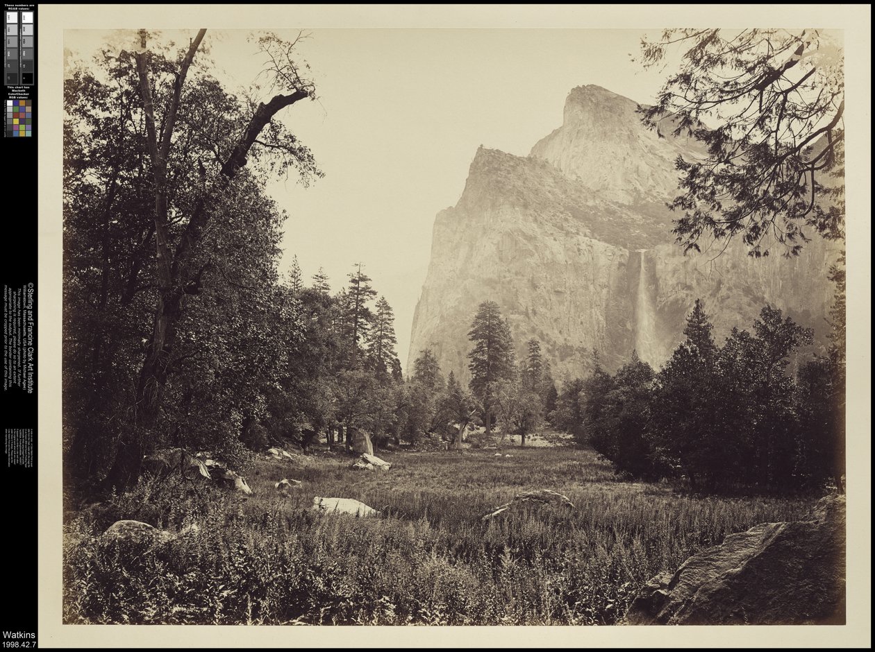 Welon ślubny, 900 ft. Yosemite, ok. 1865 autorstwa Carleton E. Watkins
