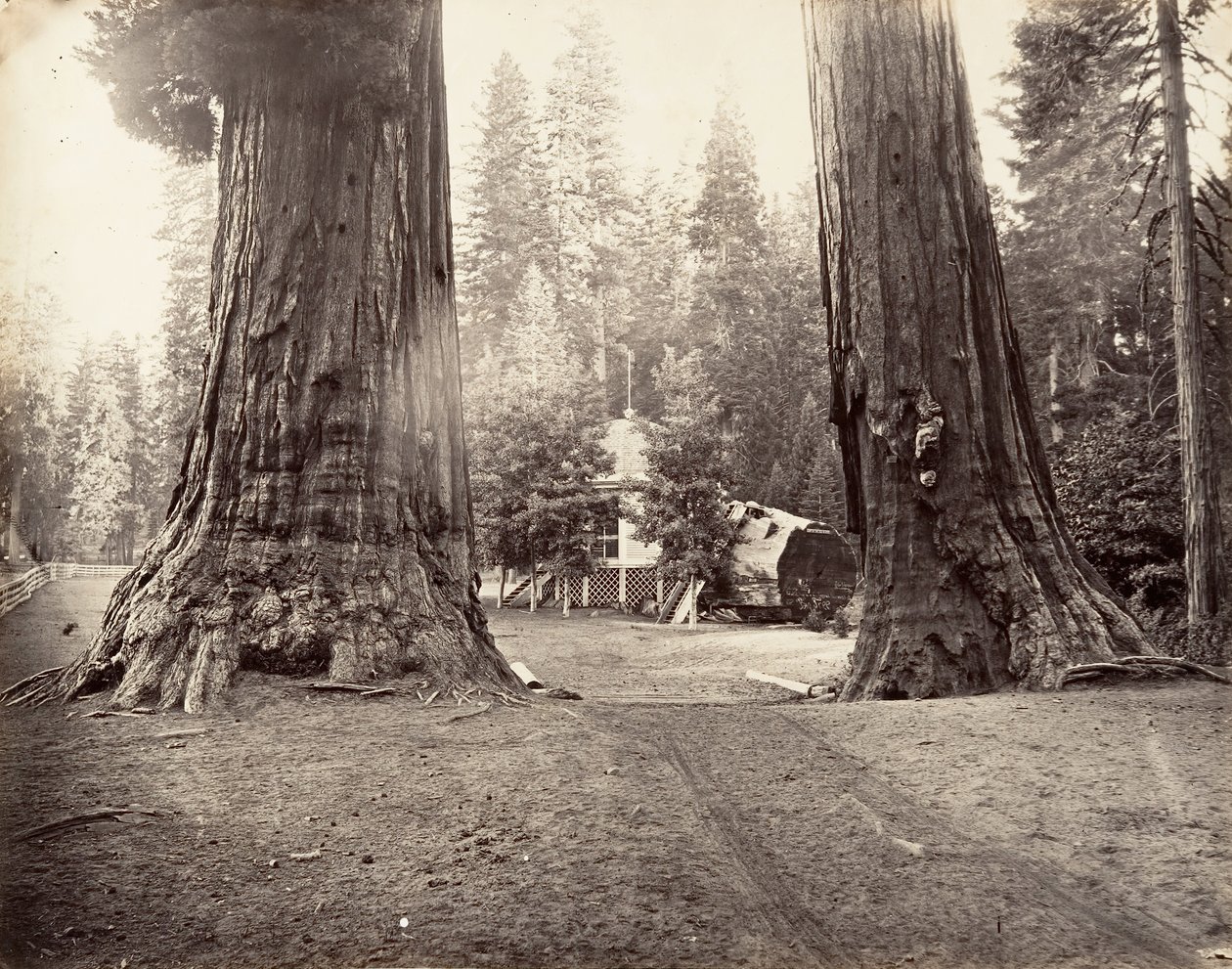 Strażnicy, 315 stóp, Yosemite, ca. 1872, wydrukowany ca. 1876. autorstwa Carleton Emmons Watkins