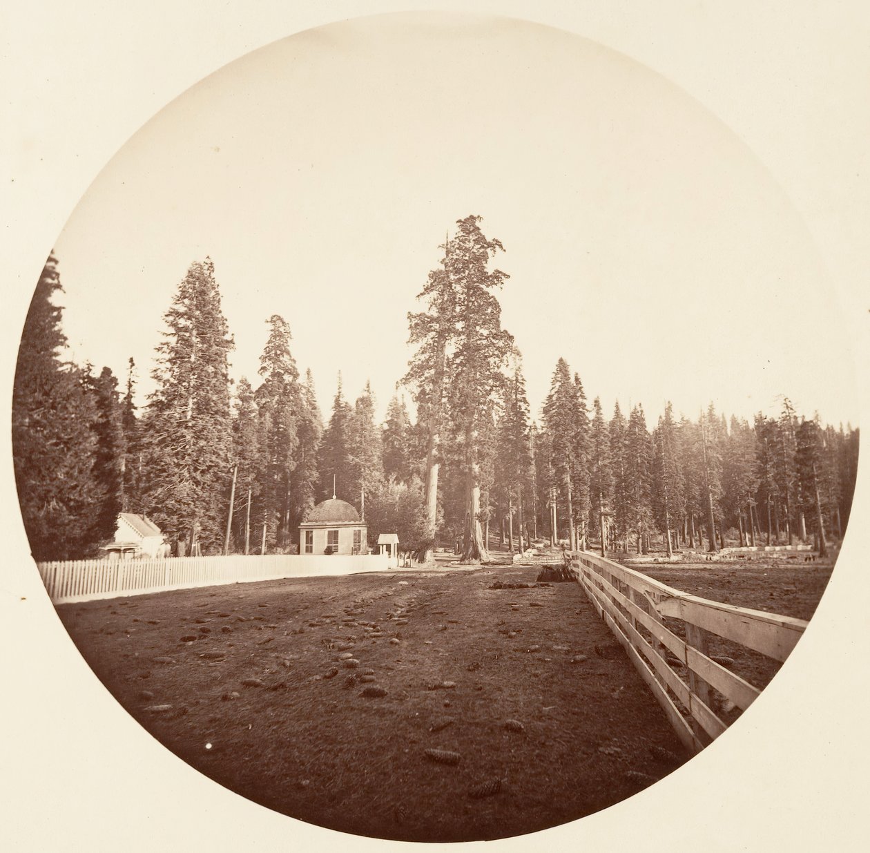 Strażnicy. C. Gaj, ca. 1878. autorstwa Carleton Emmons Watkins
