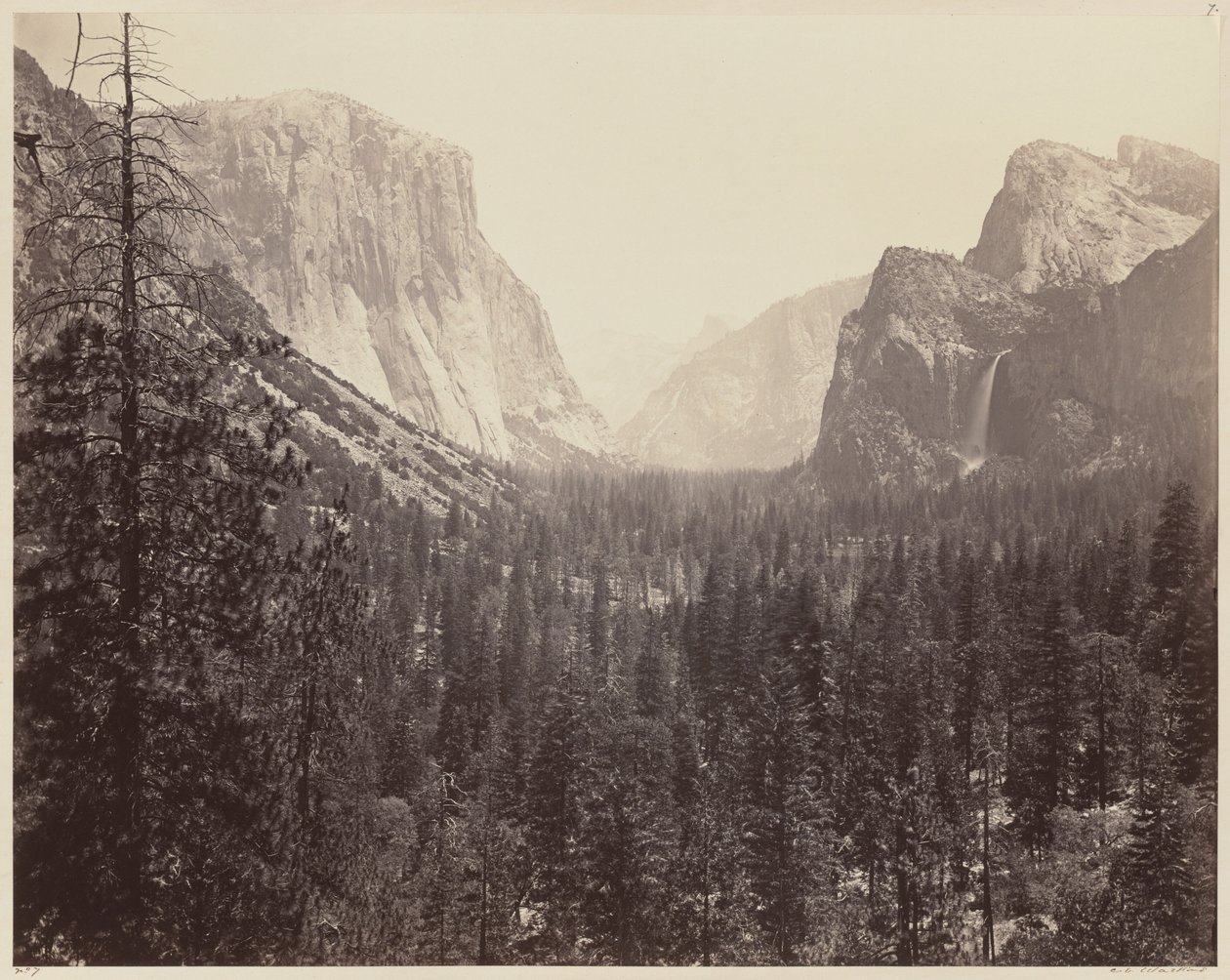 Dolina Yosemite ze szlaku Mariposa, 1865-1866. autorstwa Carleton Emmons Watkins