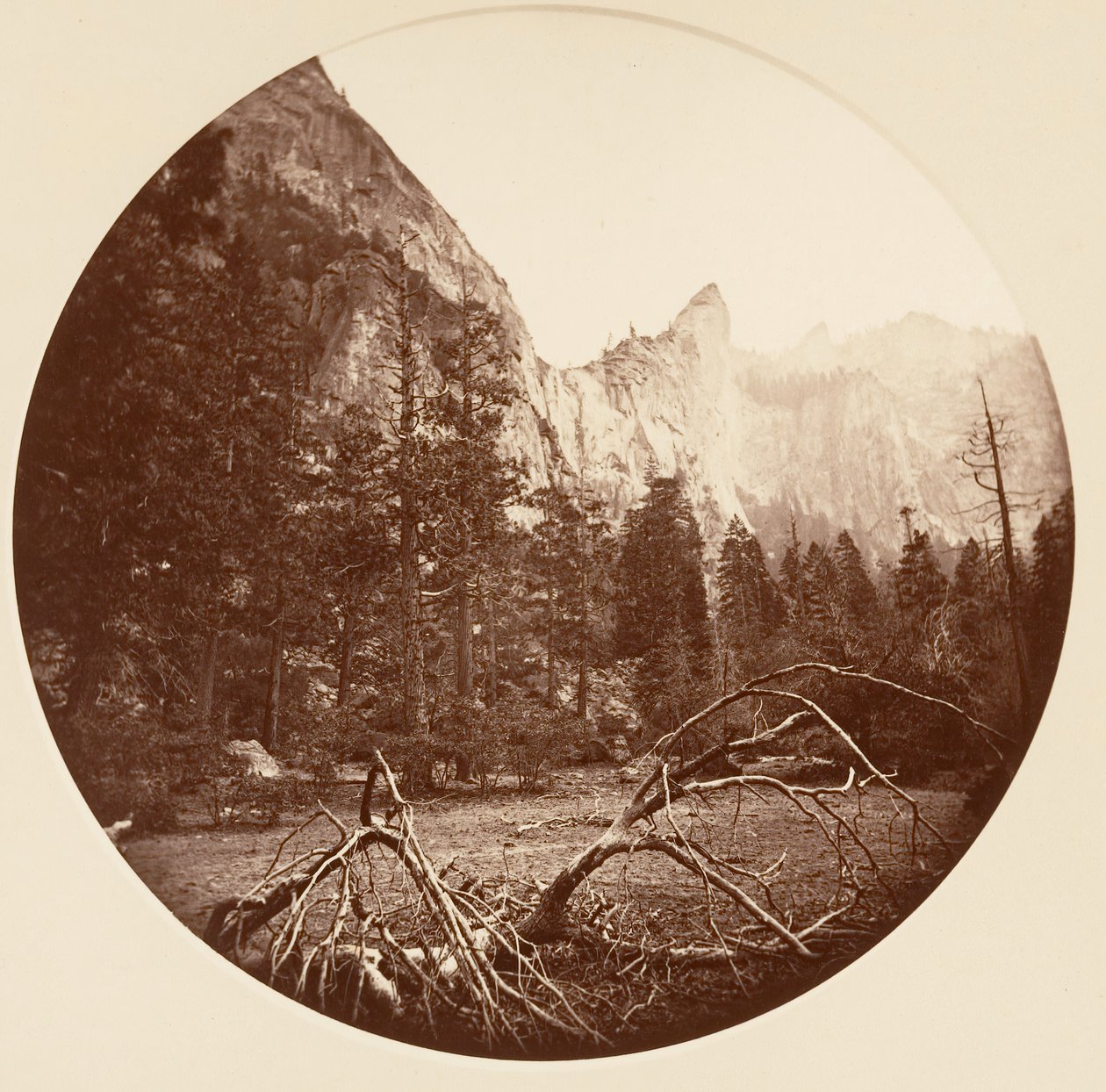 [Park Narodowy Yosemite, Kalifornia], ca. 1878. autorstwa Carleton Emmons Watkins