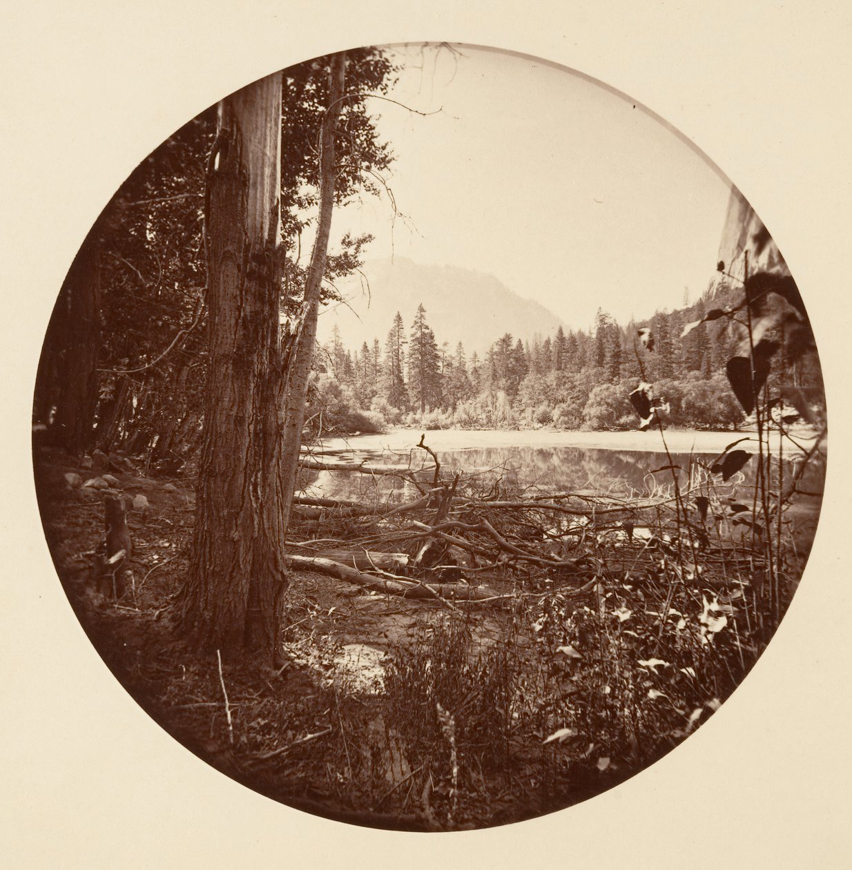 [Park Narodowy Yosemite, Kalifornia], ca. 1878. autorstwa Carleton Emmons Watkins