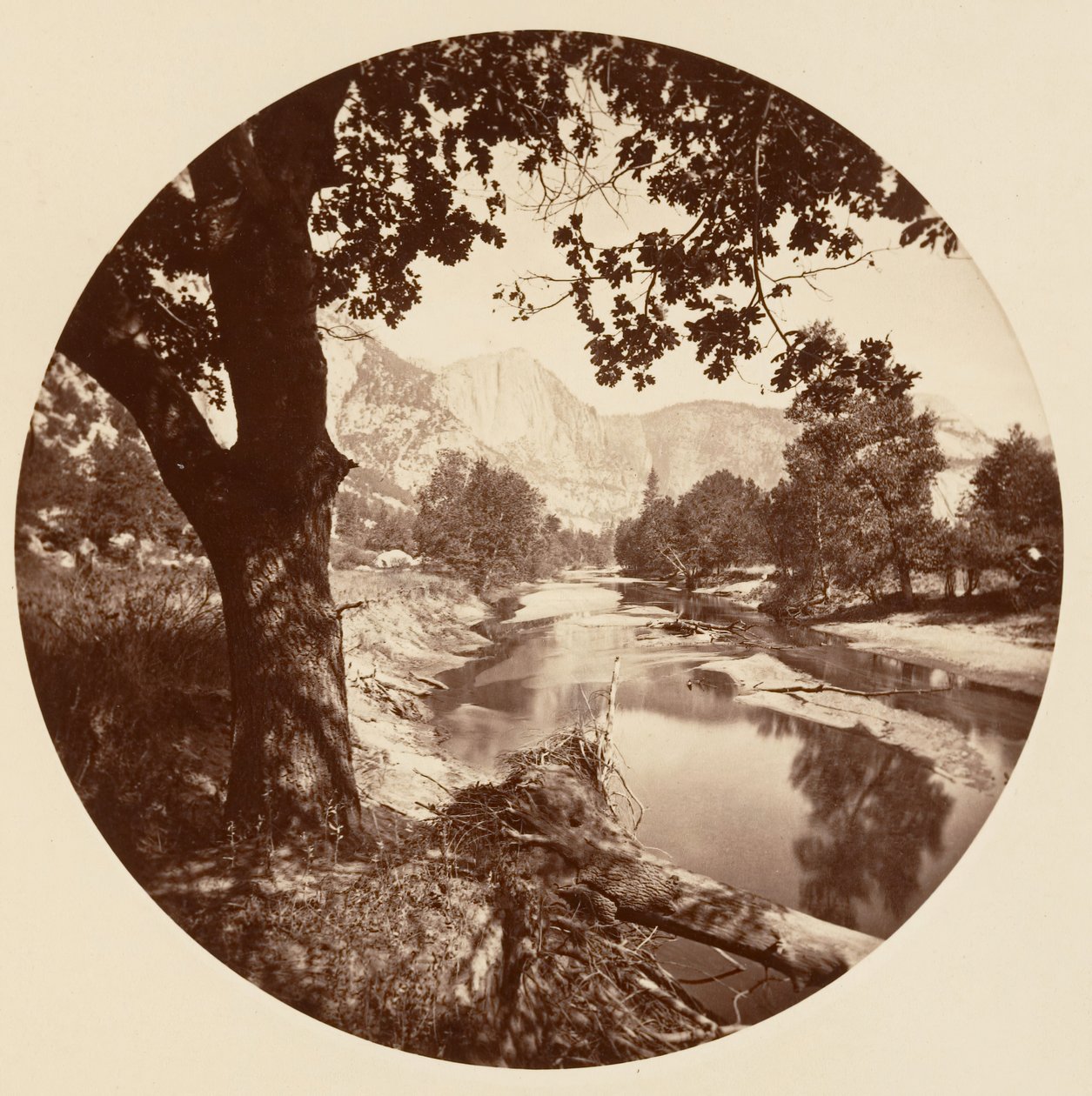 [Park Narodowy Yosemite, Kalifornia], ca. 1878. autorstwa Carleton Emmons Watkins