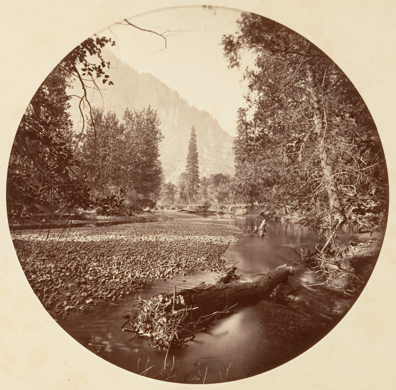 [Park Narodowy Yosemite, Kalifornia], ca. 1878. autorstwa Carleton Emmons Watkins