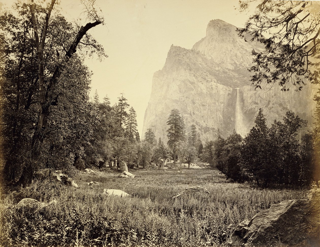 Ślubny welon, 900 stóp autorstwa Carleton Watkins