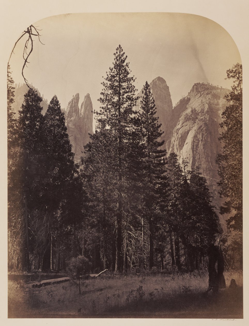 Wieże katedry - Yosemite autorstwa Carleton Watkins