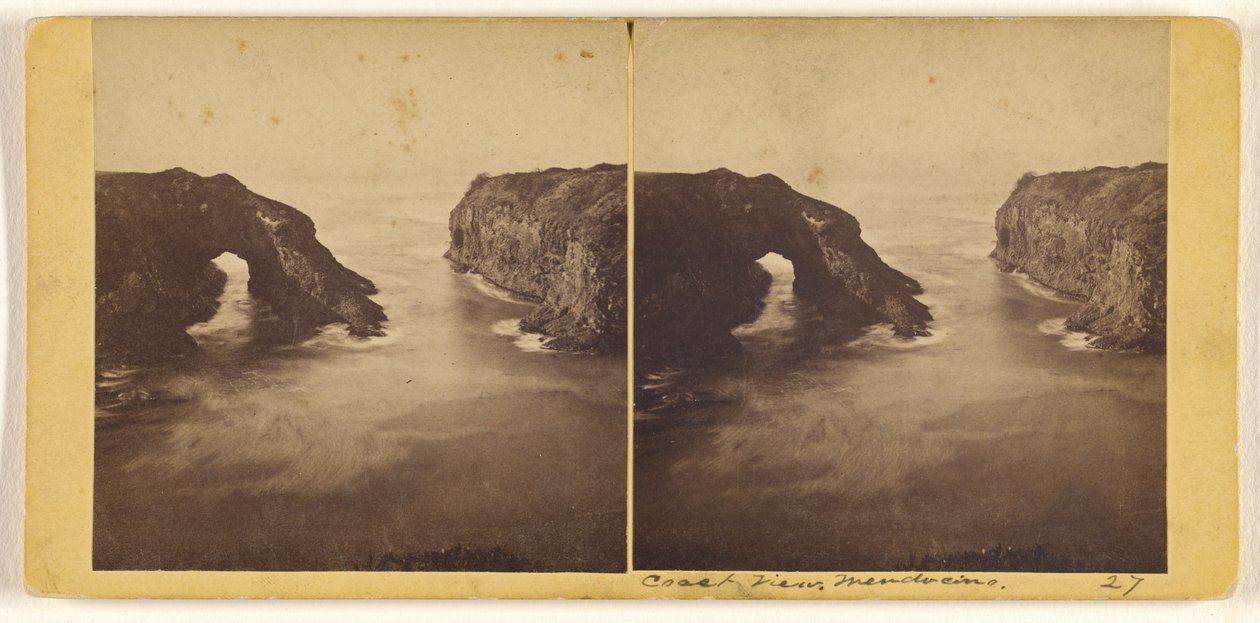 Widok wybrzeża, Mendocino autorstwa Carleton Watkins