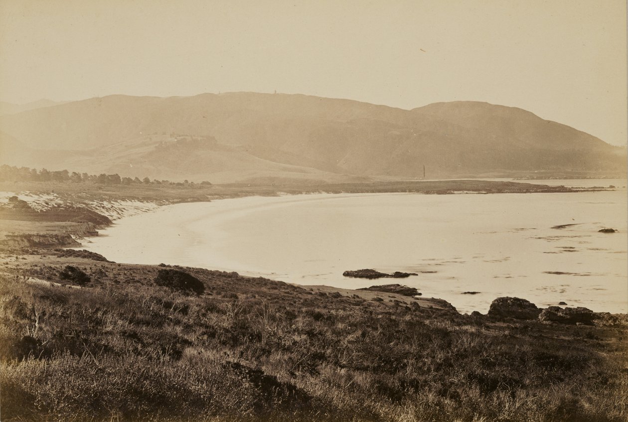 [Widok wybrzeża, Monterey] autorstwa Carleton Watkins