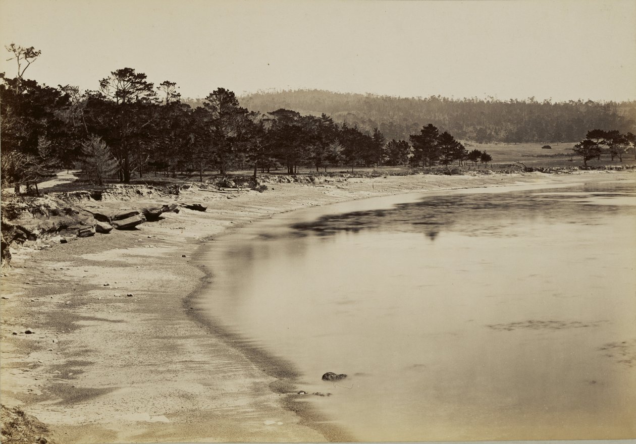 [Widok na wybrzeże w pobliżu Monterey] autorstwa Carleton Watkins