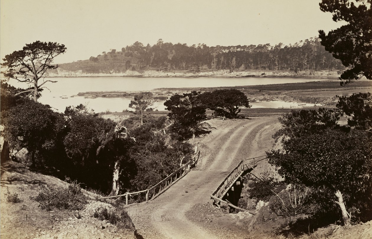 [Widok wybrzeża w pobliżu Monterey] autorstwa Carleton Watkins