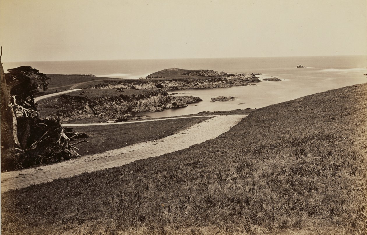 [Widok na wybrzeże w pobliżu Monterey] autorstwa Carleton Watkins