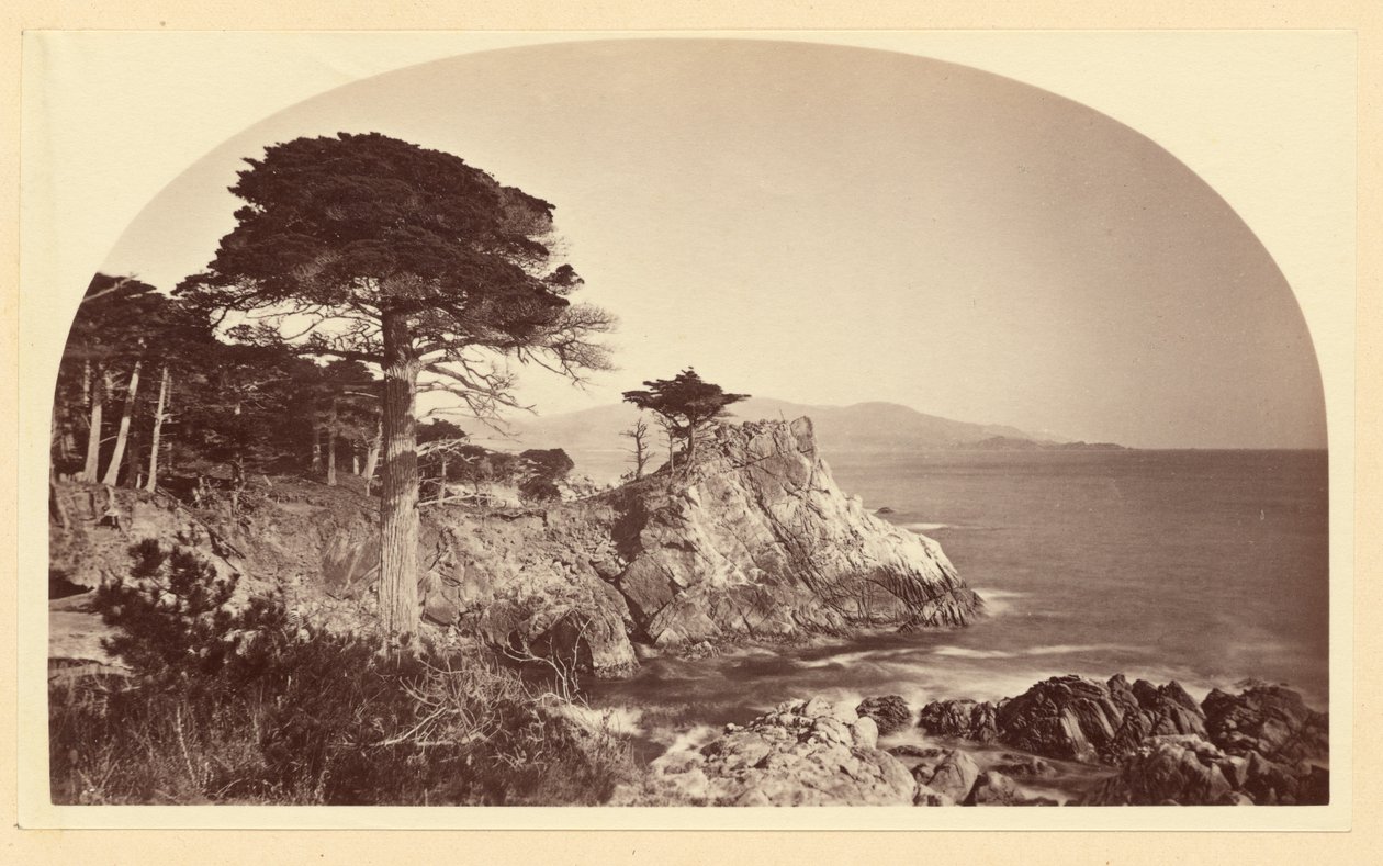 [Cypress Point z Cypress Drive, Monterey, Kalifornia] autorstwa Carleton Watkins